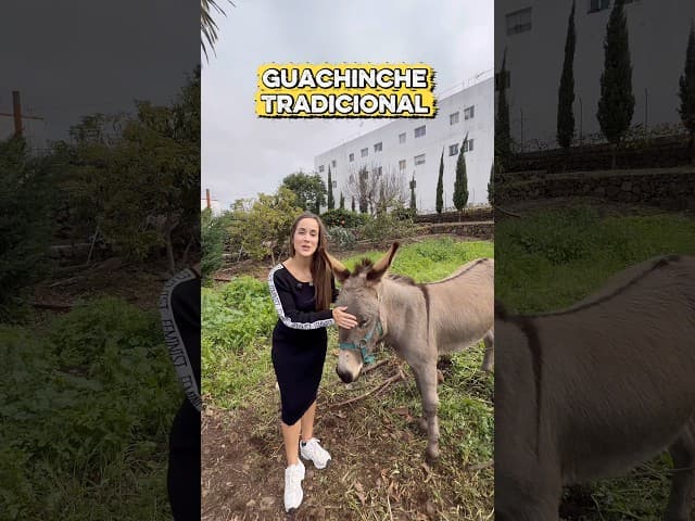 Guachinche Don Trino es un lugar muy recomendado en Santa Úrsula, destacando por