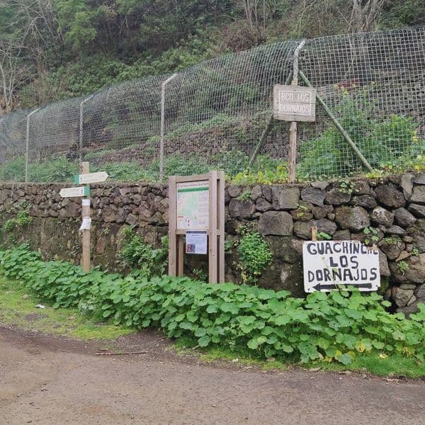 Guachinche Los Dornajos — foto 2